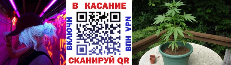Как найти наркотики Венёв Метадон  Alpha-PVP  Марихуана  МЕФ  ОМГ ОМГ как зайти  КОКАИН 