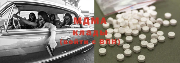 дмт Богданович