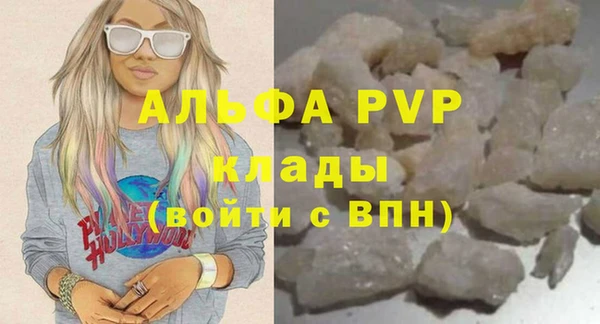 дмт Богданович